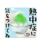 【ヨーキーのおうち】動くよ！Pop-Up（個別スタンプ：13）