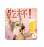 【ヨーキーのおうち】動くよ！Pop-Up（個別スタンプ：19）