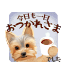 【ヨーキーのおうち】動くよ！Pop-Up（個別スタンプ：24）