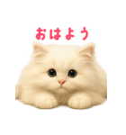 長毛白猫ぬいぐるみの毎日使えるスタンプ（個別スタンプ：1）