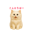 長毛白猫ぬいぐるみの毎日使えるスタンプ（個別スタンプ：3）