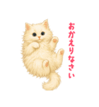 長毛白猫ぬいぐるみの毎日使えるスタンプ（個別スタンプ：8）