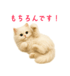 長毛白猫ぬいぐるみの毎日使えるスタンプ（個別スタンプ：23）