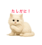 長毛白猫ぬいぐるみの毎日使えるスタンプ（個別スタンプ：25）