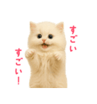 長毛白猫ぬいぐるみの毎日使えるスタンプ（個別スタンプ：30）