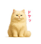 長毛白猫ぬいぐるみの毎日使えるスタンプ（個別スタンプ：33）