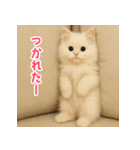 長毛白猫ぬいぐるみの毎日使えるスタンプ（個別スタンプ：38）