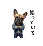 フレブルの日常劇場（個別スタンプ：11）
