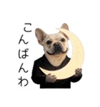 フレブルの日常劇場（個別スタンプ：17）