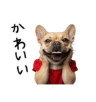 フレブルの日常劇場（個別スタンプ：22）