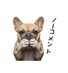 フレブルの日常劇場（個別スタンプ：25）