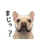 フレブルの日常劇場（個別スタンプ：30）