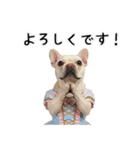 フレブルの日常劇場（個別スタンプ：32）