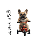 フレブルの日常劇場（個別スタンプ：34）