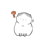 ハチワレねこのゆるゆるスタンプ（個別スタンプ：16）