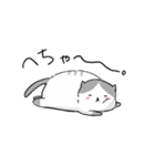 ハチワレねこのゆるゆるスタンプ（個別スタンプ：20）