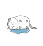 ハチワレねこのゆるゆるスタンプ（個別スタンプ：24）