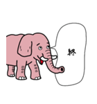 シニカル da ゾウ（個別スタンプ：15）