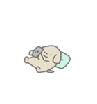 ふたりの日常スタンプ(文字なし)（個別スタンプ：20）