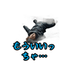 東北弁研究所（個別スタンプ：6）