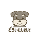 ミニシュナの日常スタンプ3（個別スタンプ：5）