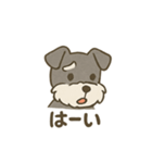 ミニシュナの日常スタンプ3（個別スタンプ：7）