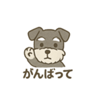 ミニシュナの日常スタンプ3（個別スタンプ：20）