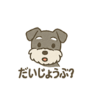 ミニシュナの日常スタンプ3（個別スタンプ：24）