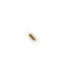 小さくてもみえる？昆虫スタンプ（個別スタンプ：15）