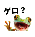リアルカエルミーム2（個別スタンプ：23）