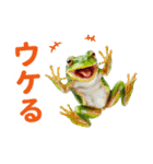 リアルカエルミーム2（個別スタンプ：28）