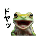リアルカエルミーム2（個別スタンプ：34）