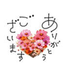大人の挨拶♡秋の毎日♡品よくおしゃれに（個別スタンプ：10）