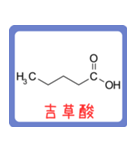 カルボン酸 構造式 -薬学生-（個別スタンプ：5）