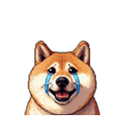 犬の気持ちふとっちょ柴犬（個別スタンプ：3）