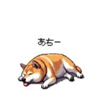 犬の気持ちふとっちょ柴犬（個別スタンプ：4）