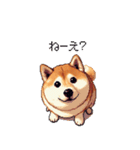 犬の気持ちふとっちょ柴犬（個別スタンプ：10）