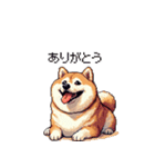 犬の気持ちふとっちょ柴犬（個別スタンプ：12）