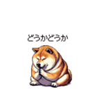 犬の気持ちふとっちょ柴犬（個別スタンプ：14）