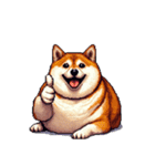 犬の気持ちふとっちょ柴犬（個別スタンプ：17）