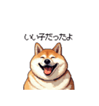 犬の気持ちふとっちょ柴犬（個別スタンプ：20）