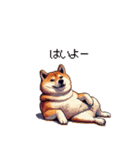 犬の気持ちふとっちょ柴犬（個別スタンプ：23）