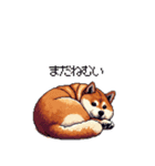 犬の気持ちふとっちょ柴犬（個別スタンプ：25）