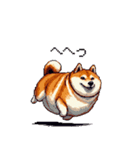 犬の気持ちふとっちょ柴犬（個別スタンプ：26）