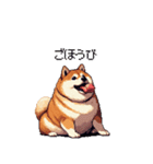 犬の気持ちふとっちょ柴犬（個別スタンプ：29）