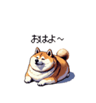 犬の気持ちふとっちょ柴犬（個別スタンプ：40）