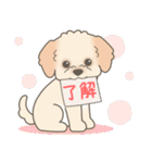 やさしいマルプー【仕事＆連絡】（個別スタンプ：1）