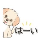 やさしいマルプー【仕事＆連絡】（個別スタンプ：3）