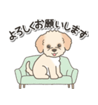 やさしいマルプー【仕事＆連絡】（個別スタンプ：7）