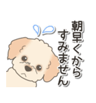 やさしいマルプー【仕事＆連絡】（個別スタンプ：13）